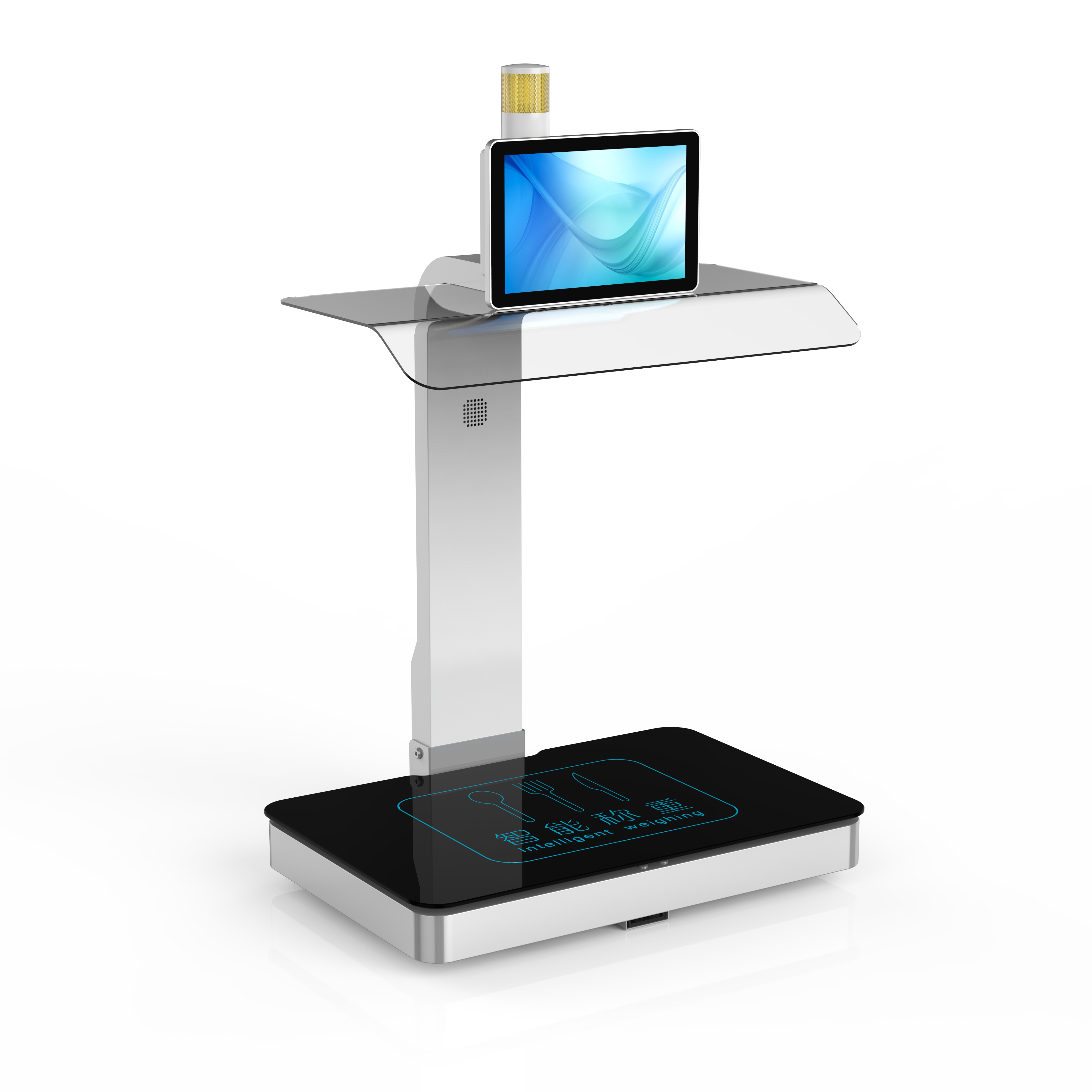 称重计量一体机CZ-10