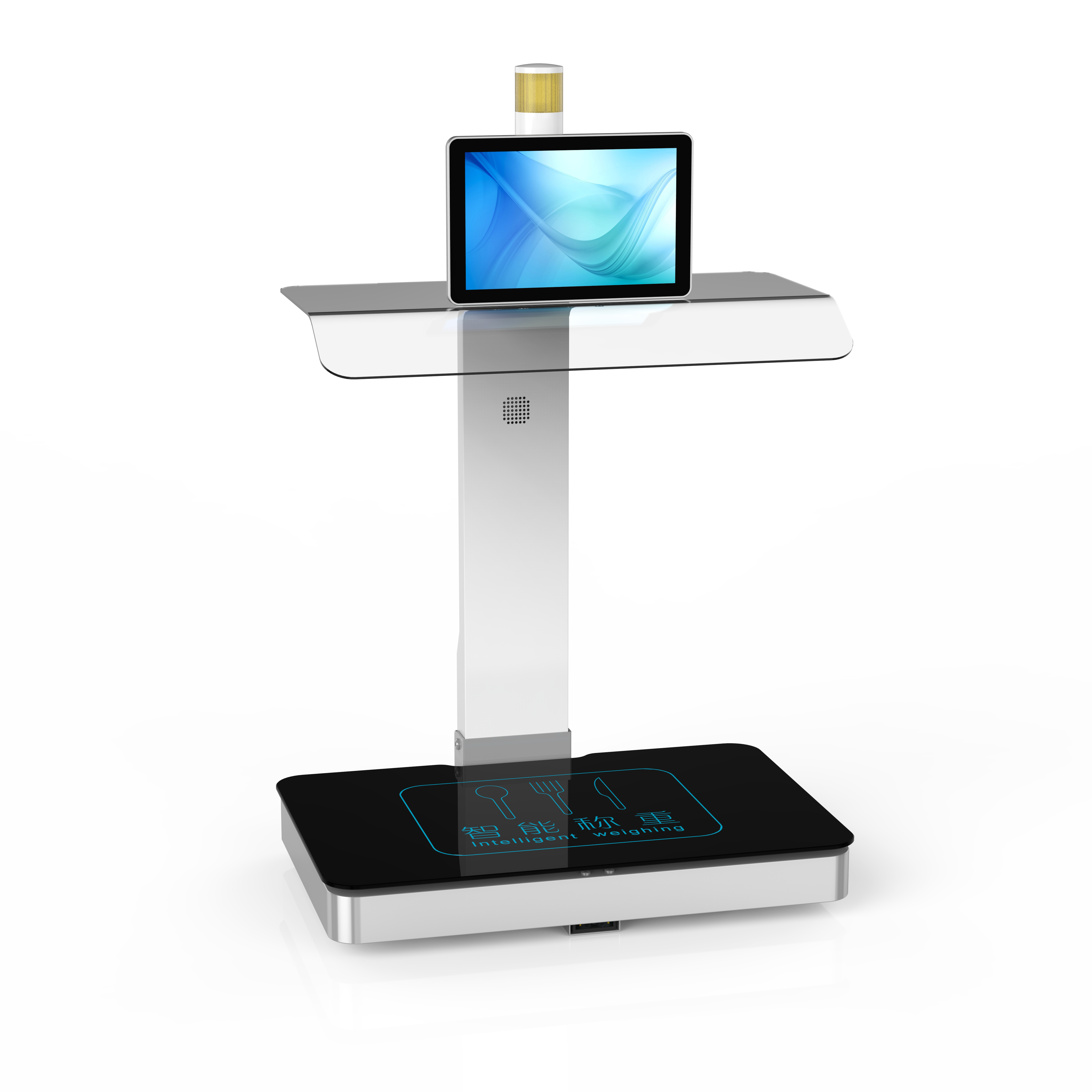 称重计量一体机CZ-10