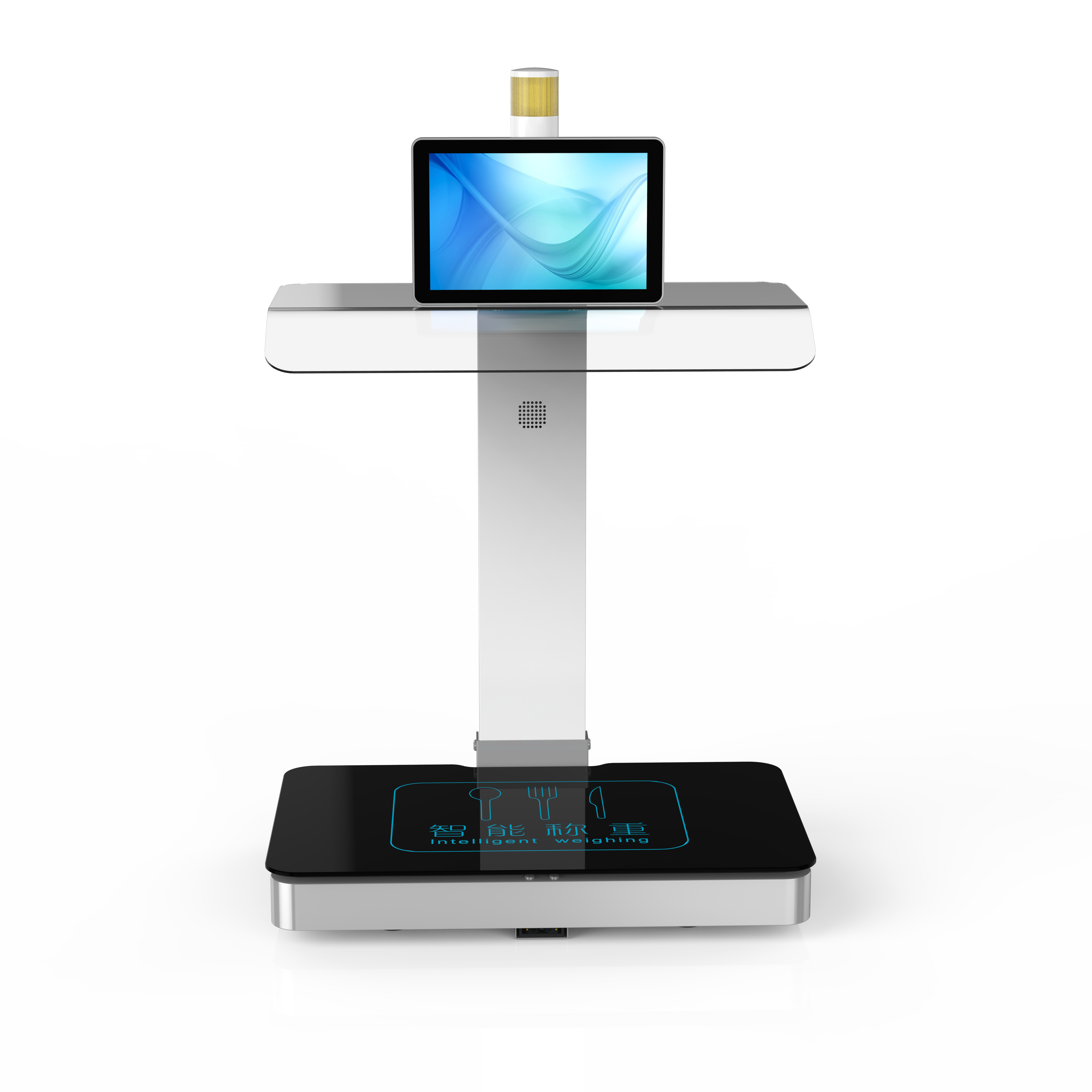 称重计量一体机CZ-10