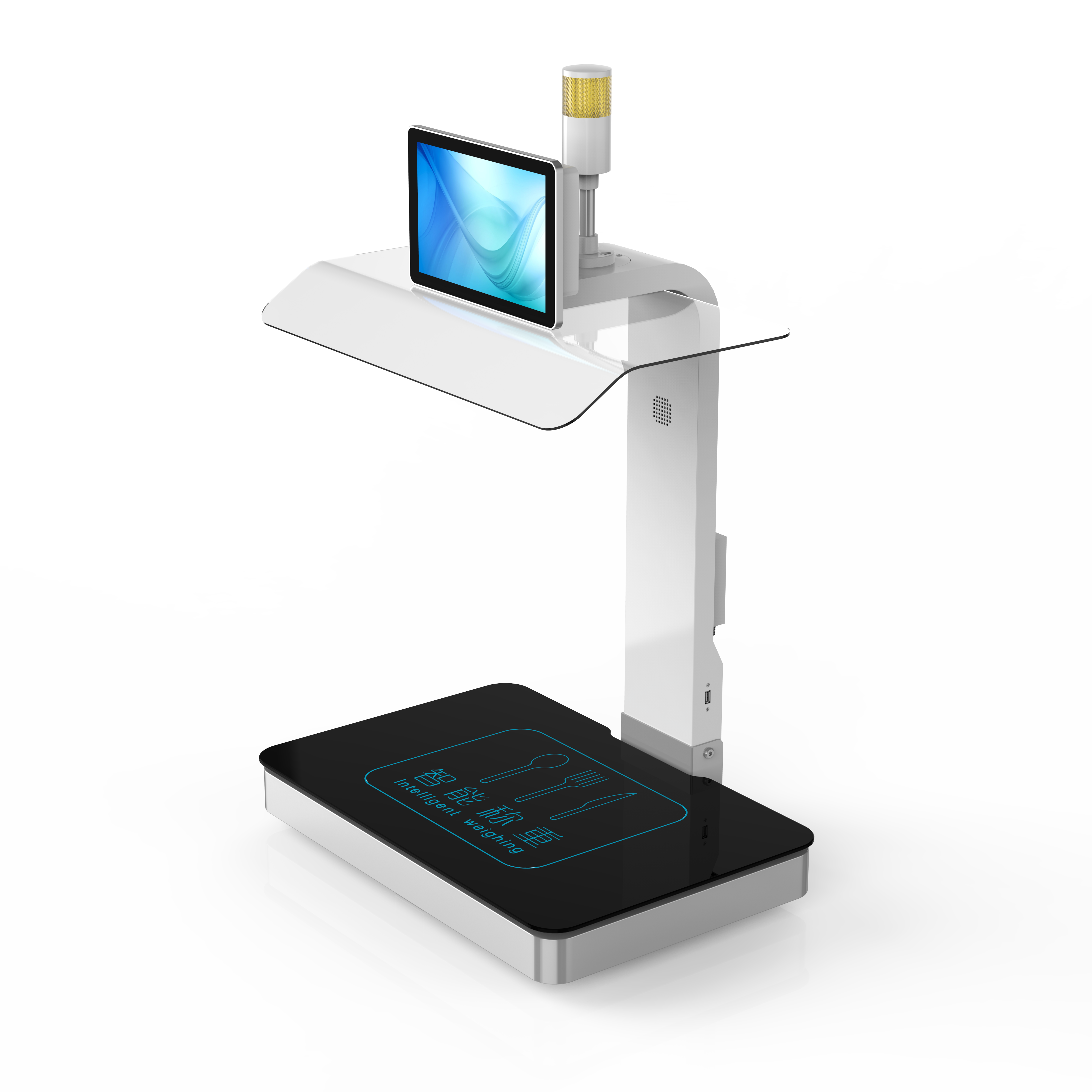 称重计量一体机CZ-10