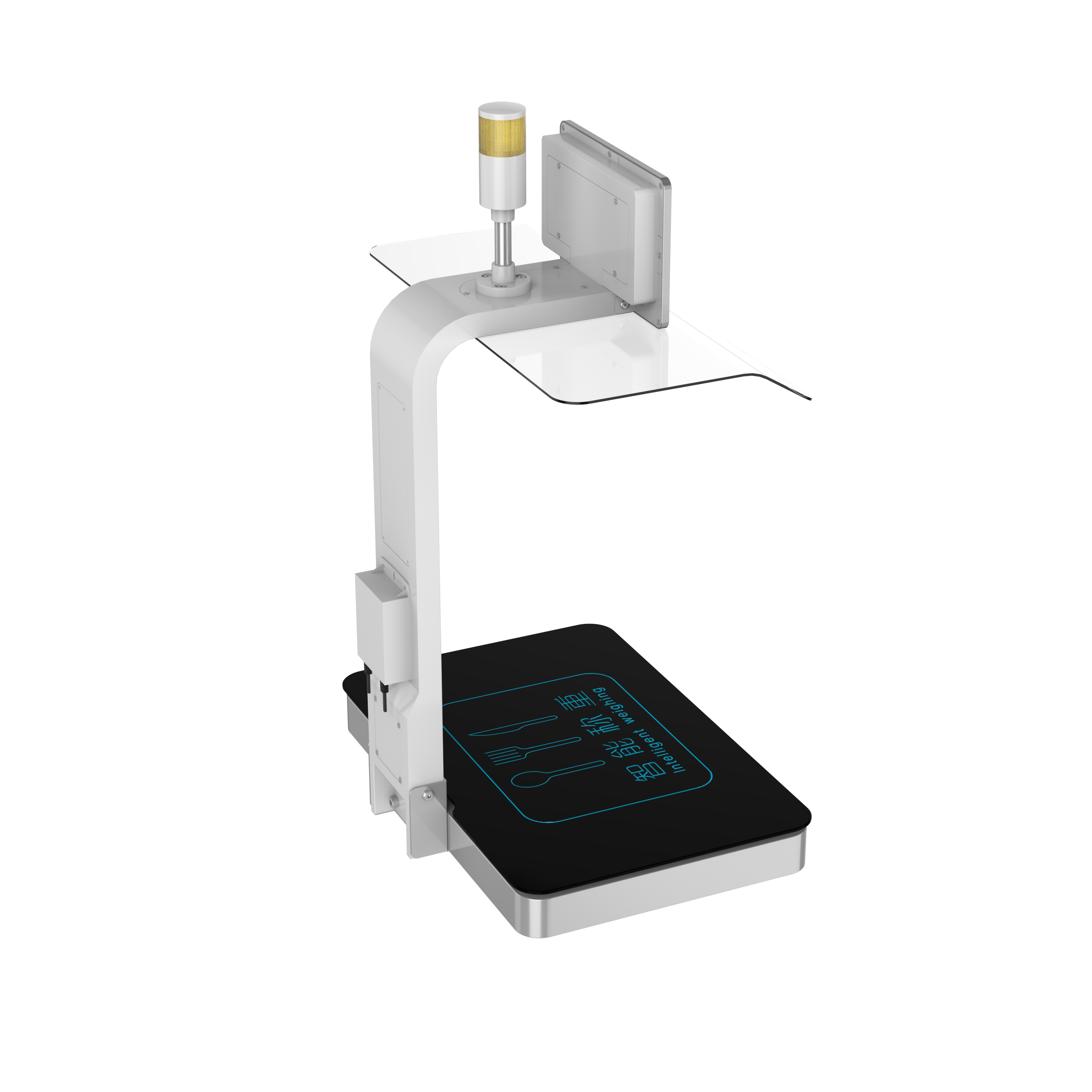 称重计量一体机CZ-10