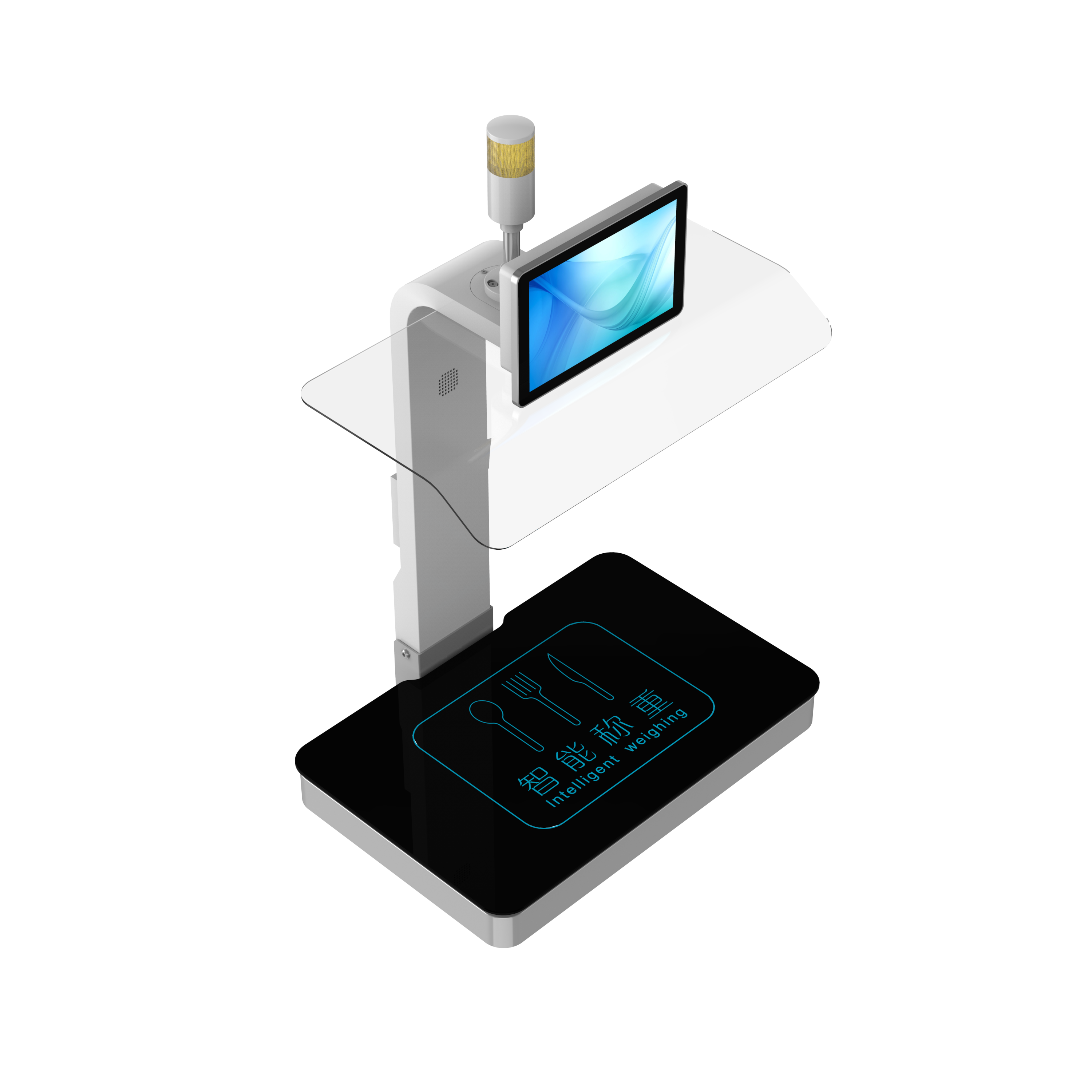 称重计量一体机CZ-10