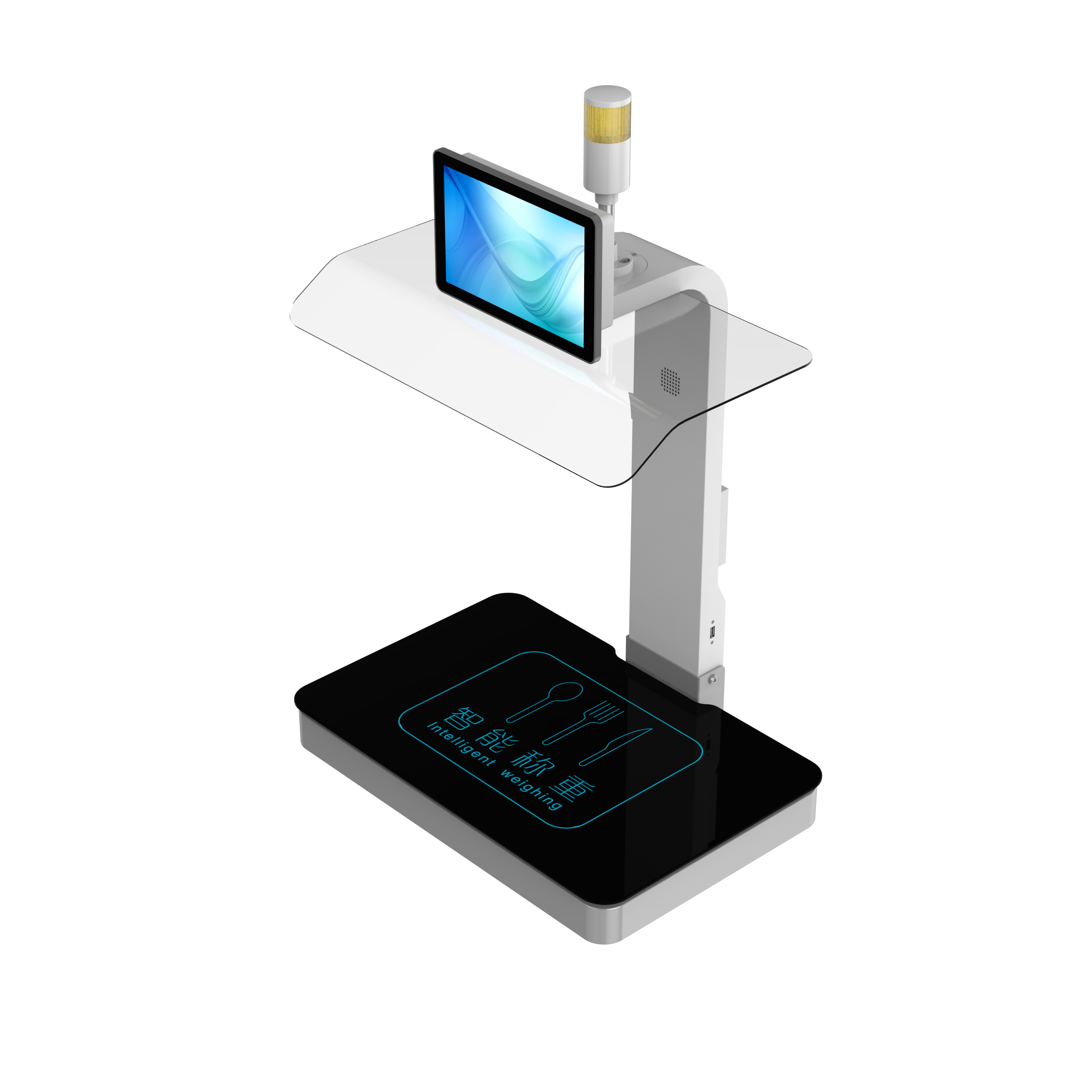 称重计量一体机CZ-10