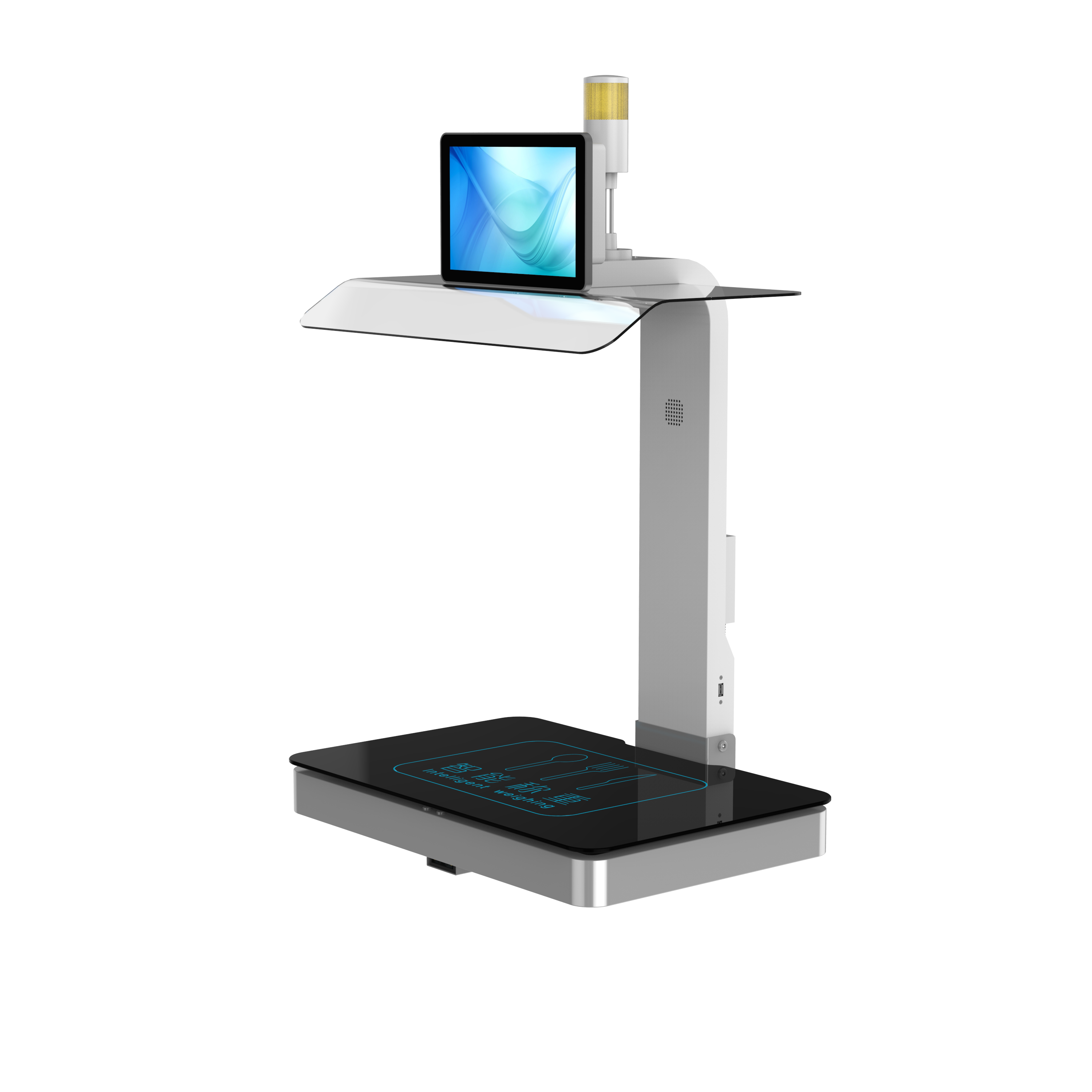 称重计量一体机CZ-10