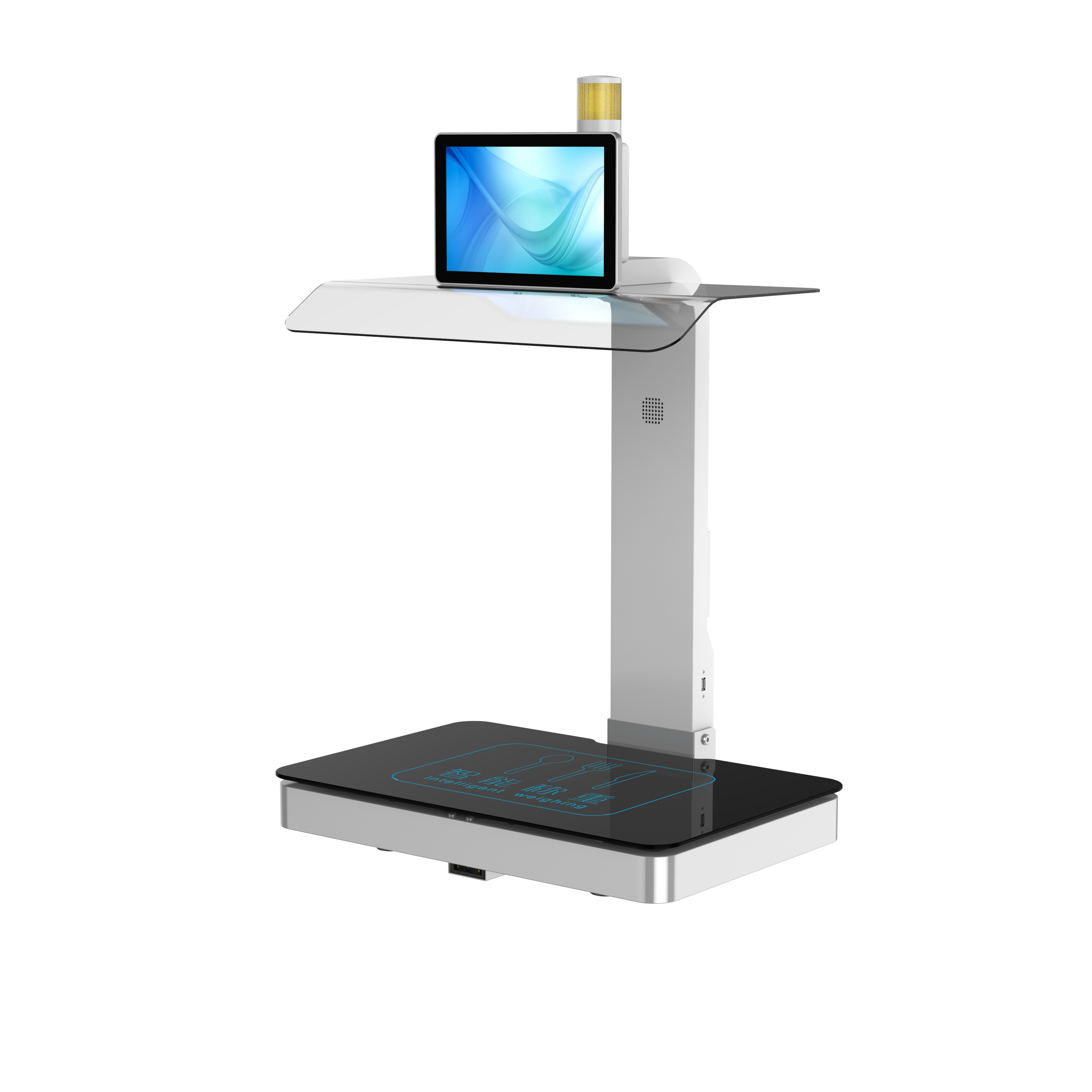 称重计量一体机CZ-10