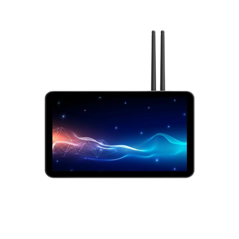 21.5寸A133壁挂款-F215L301